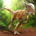 Pachycephalosaurus Simulator MOD APKs 1.2.4 (Unlimited Money)