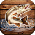 Fish rain MOD APKs 0.4.8.2.41 (Unlimited gold)