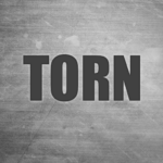 TORN MOD APKs 2.2.27 (Unlimited Money)