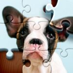 Jigsaw Puzzles MOD APKs 4.4.12 (Unlimited Coins)